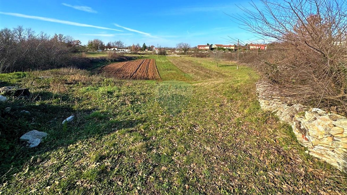 Terrain À vendre