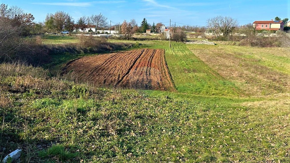 Terrain À vendre - ISTARSKA  SVETVINČENAT 