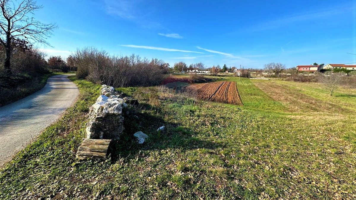 Terrain À vendre - ISTARSKA  SVETVINČENAT 