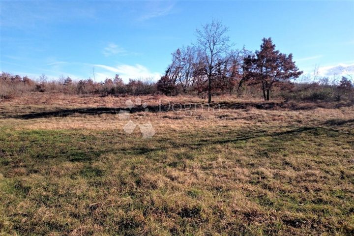 Terrain à vendre 6460 m² – Tinjan