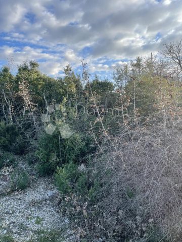 Land for sale 6066 m² – Vodnjan