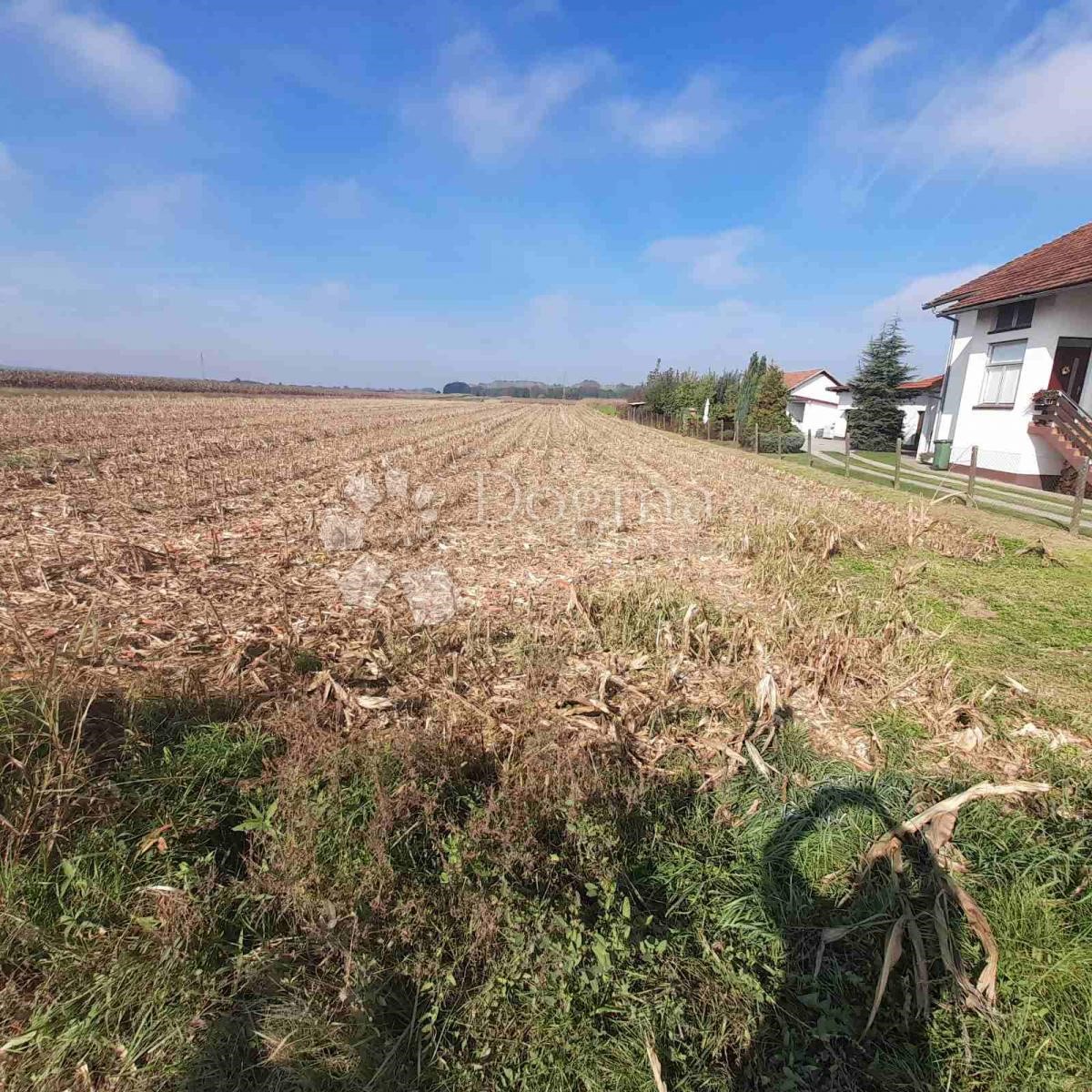 Pozemek Na prodej - VARAŽDINSKA  LUDBREG 