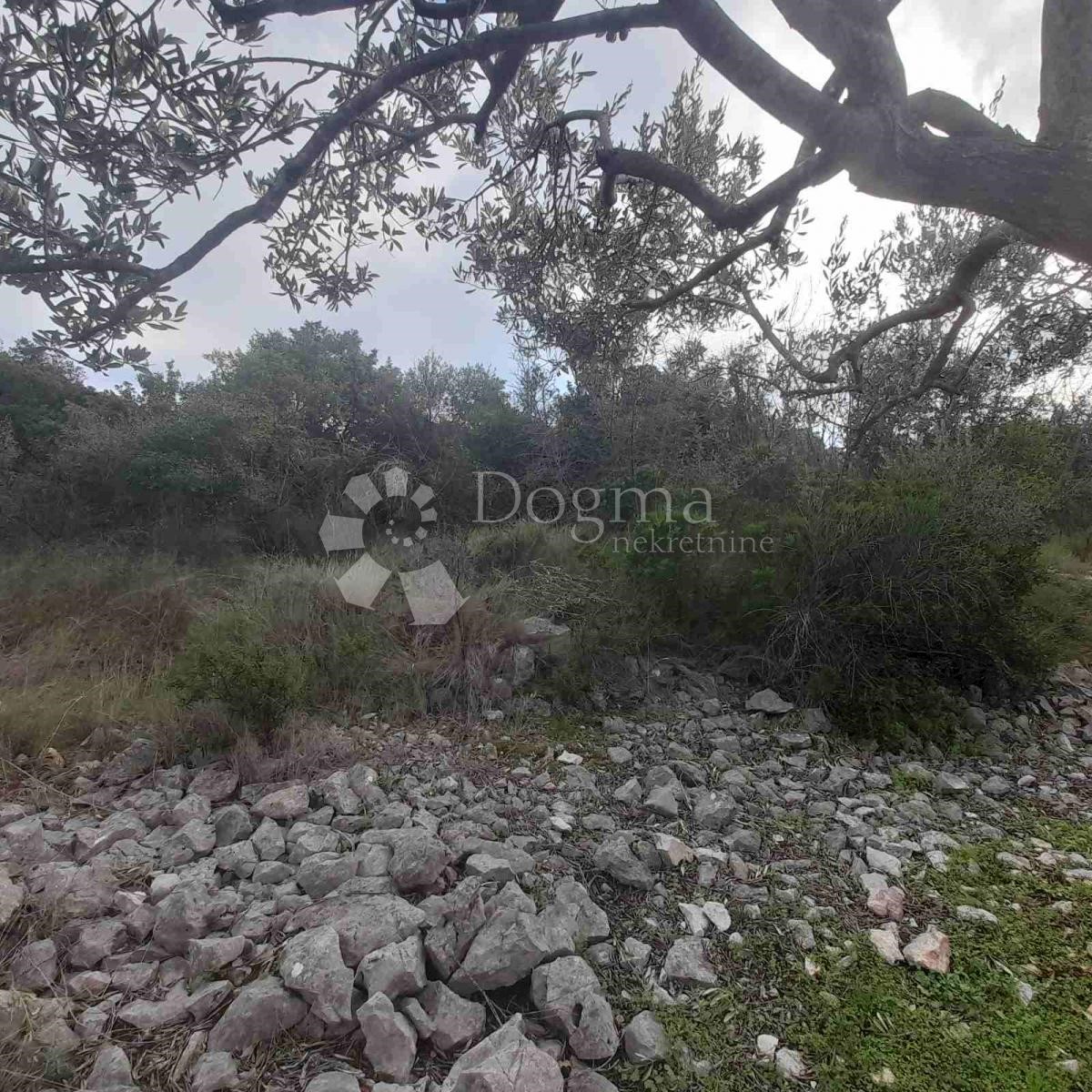 Land For sale - ŠIBENSKO-KNINSKA  ROGOZNICA 