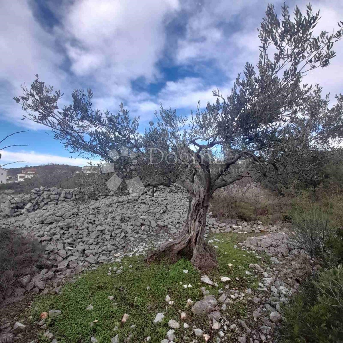 Terreno In vendita - ŠIBENSKO-KNINSKA  ROGOZNICA 