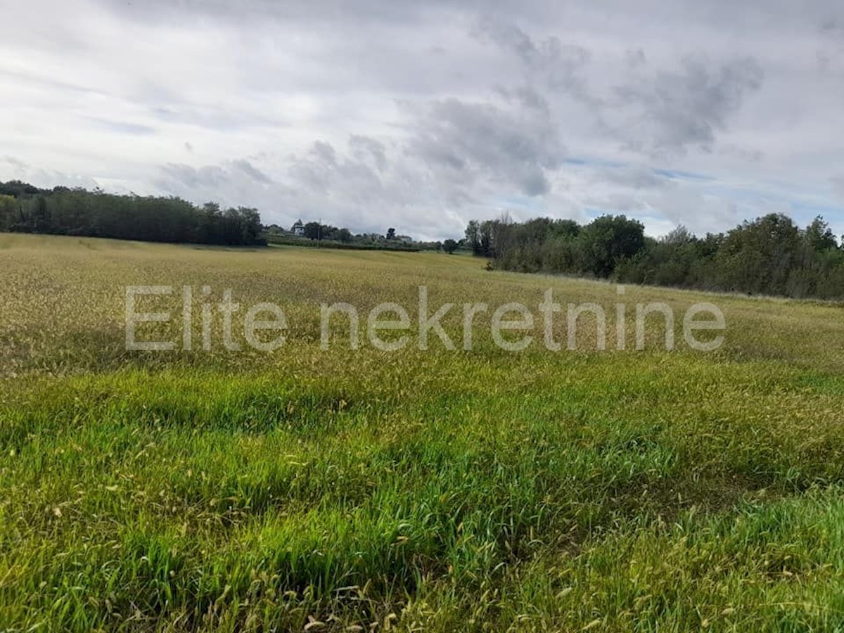 Terreno In vendita - ISTARSKA  VIŽINADA 