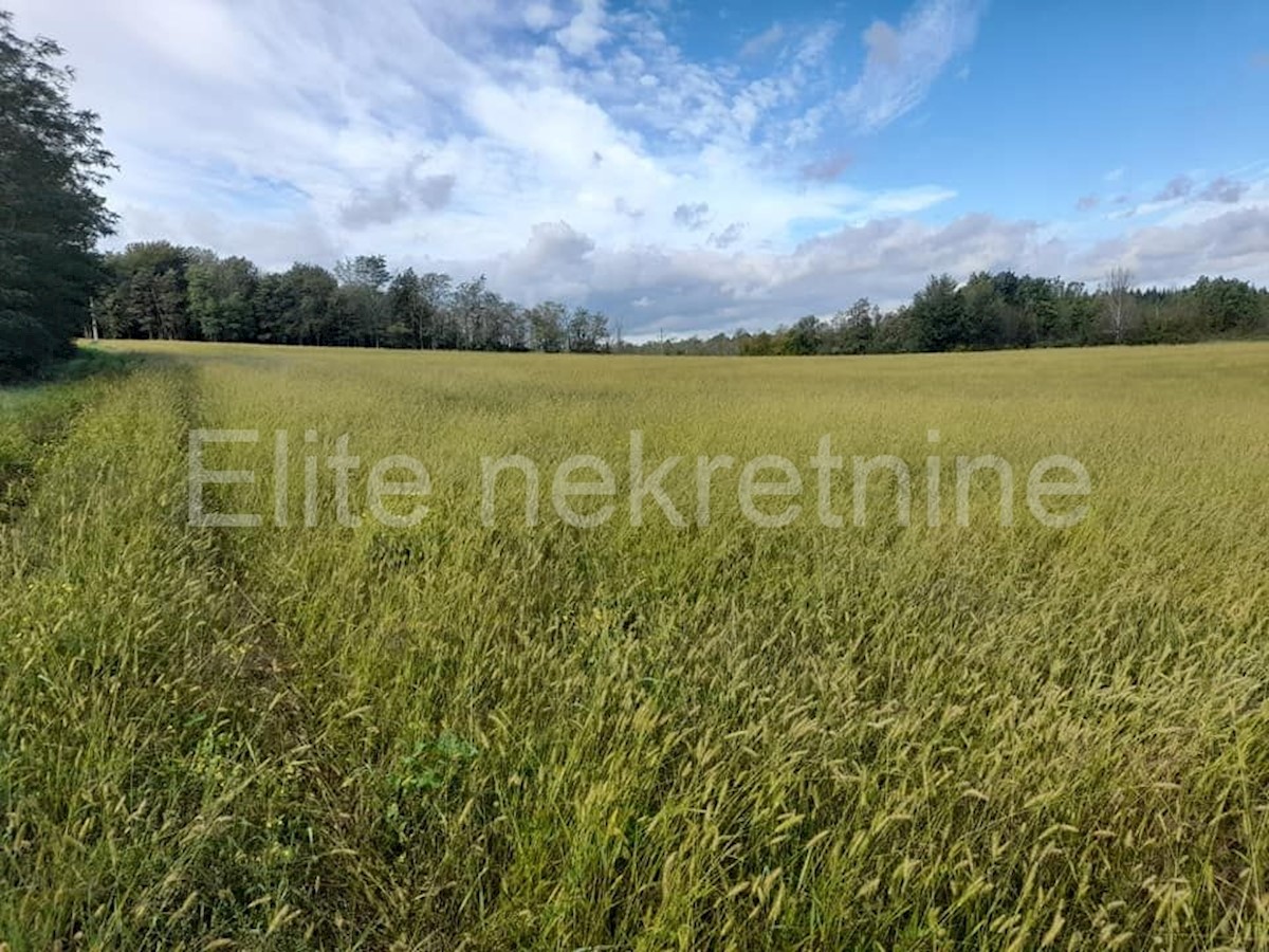 Terreno In vendita - ISTARSKA  VIŽINADA 