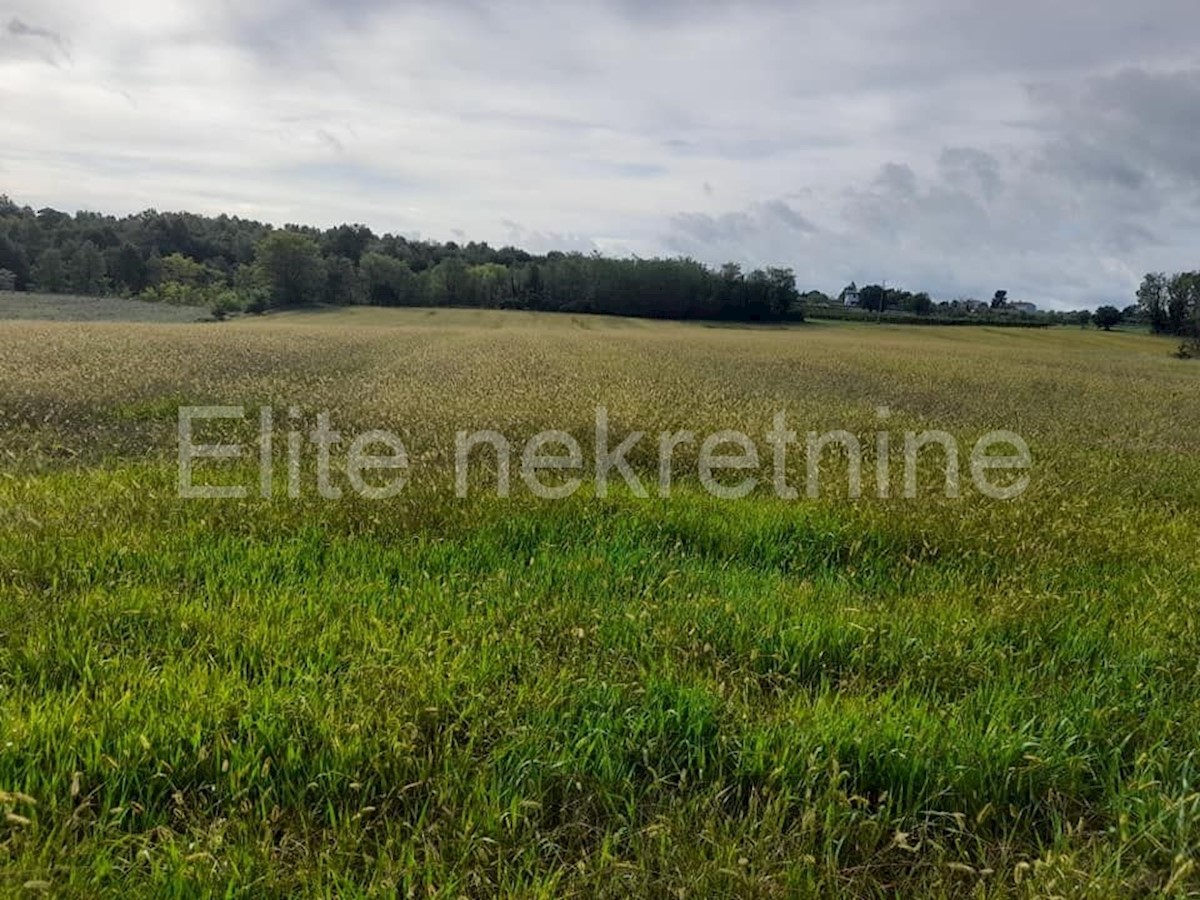 Terreno In vendita - ISTARSKA  VIŽINADA 