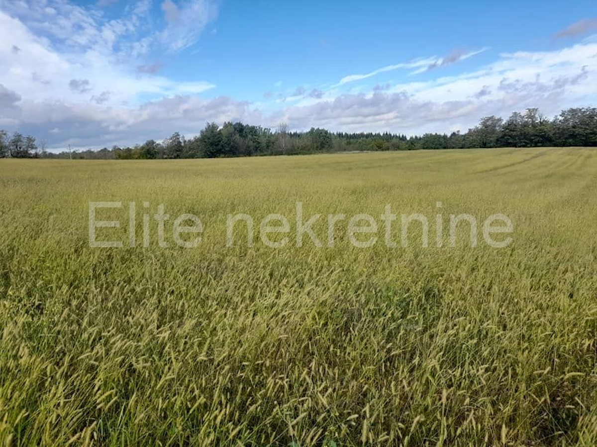 Terreno In vendita - ISTARSKA  VIŽINADA 