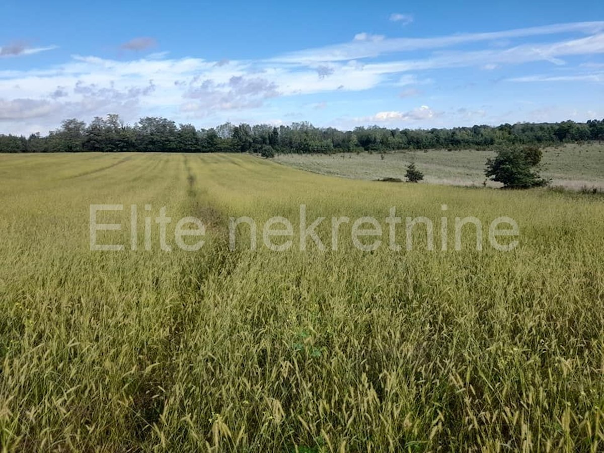 Terreno In vendita - ISTARSKA  VIŽINADA 