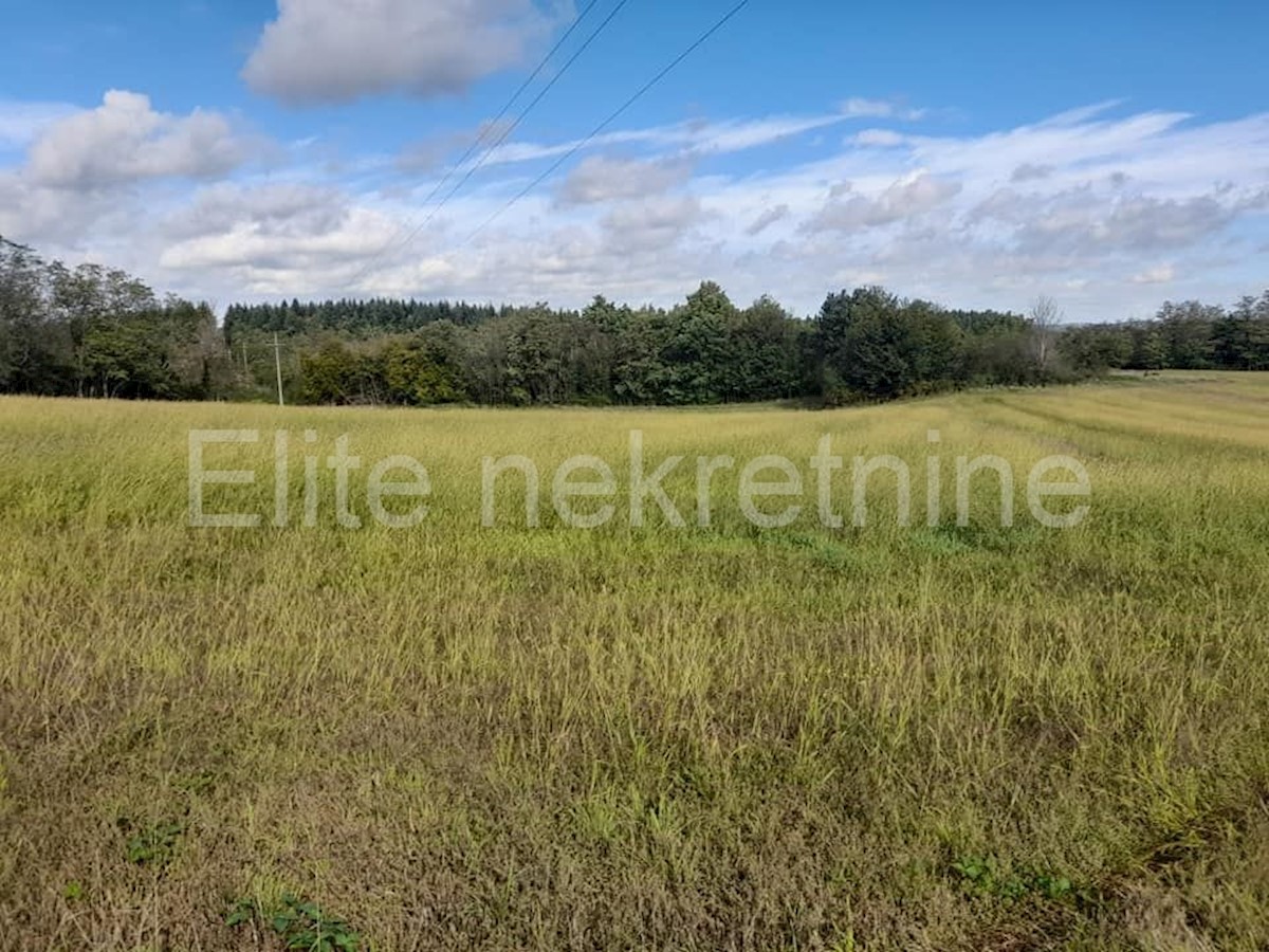 Terreno In vendita - ISTARSKA  VIŽINADA 