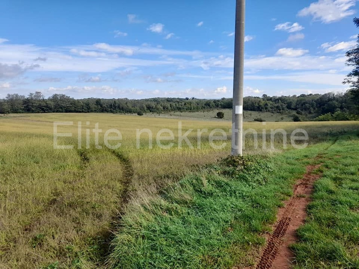 Terreno In vendita - ISTARSKA  VIŽINADA 