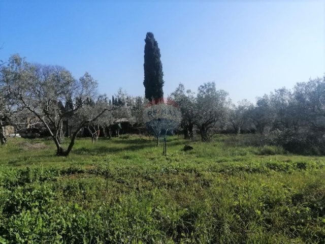 Terrain à vendre 932 m² – Galižana