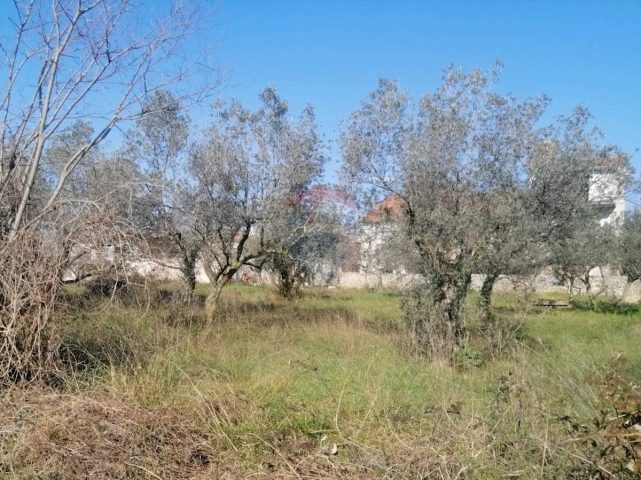 Terreno In vendita - Istarska Vodnjan - foto 2/2