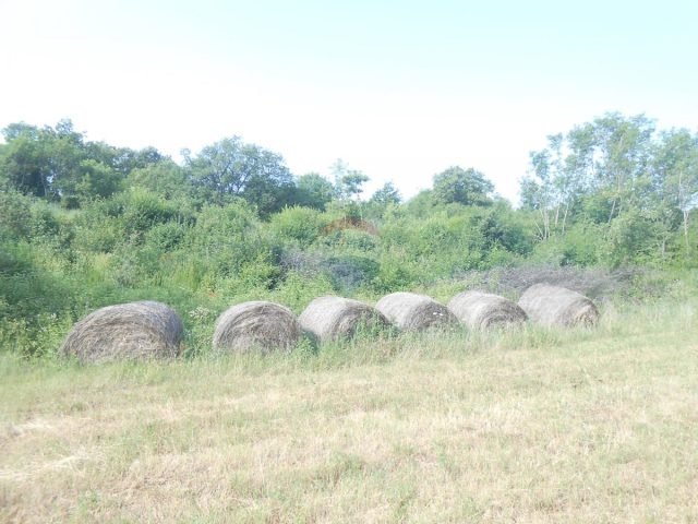 Pozemek na prodej 11406 m² – Peruški