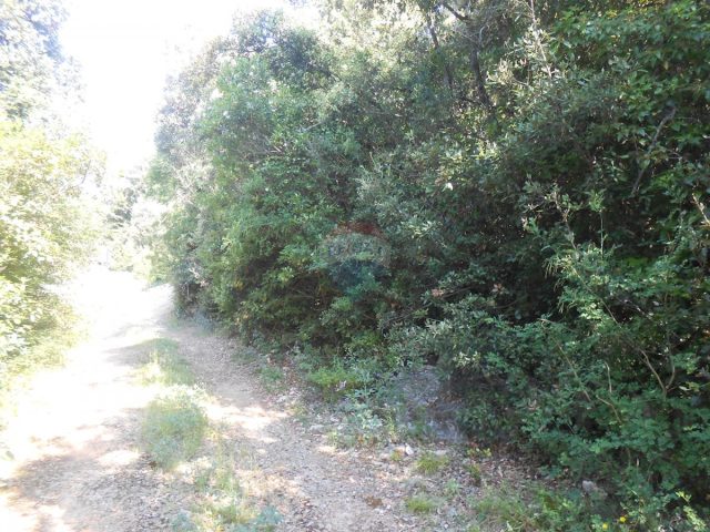 Terrain À vendre - Istarska Marčana - foto 2/8