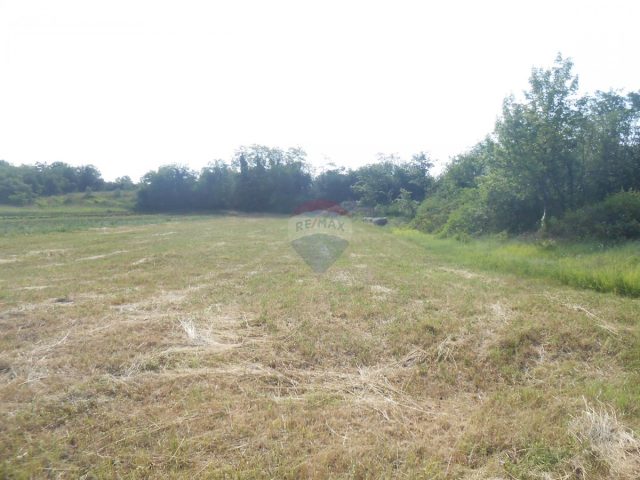 Terrain À vendre - Istarska Marčana - foto 4/8