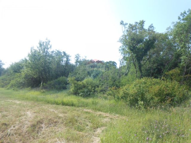 Terrain À vendre - Istarska Marčana - foto 5/8