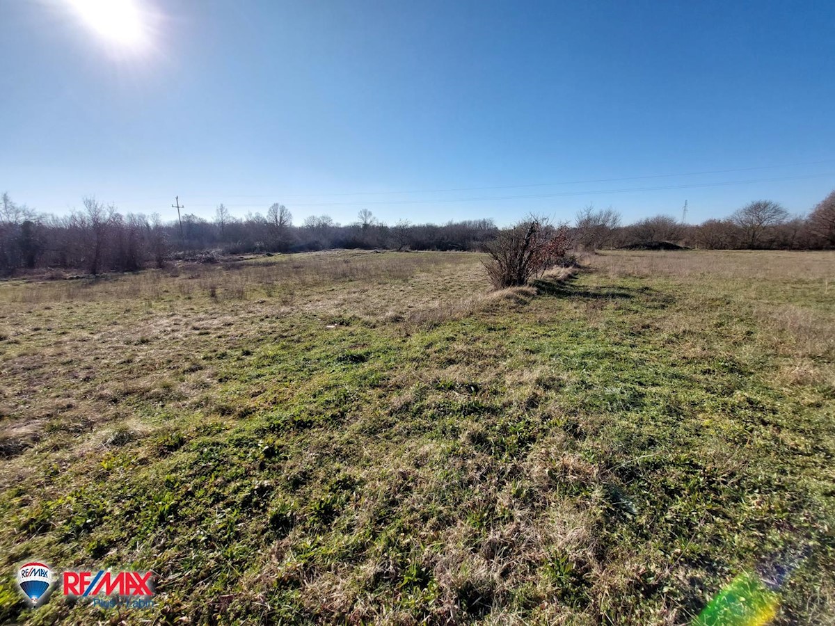 Land For sale - ISTARSKA  SVETA NEDELJA 