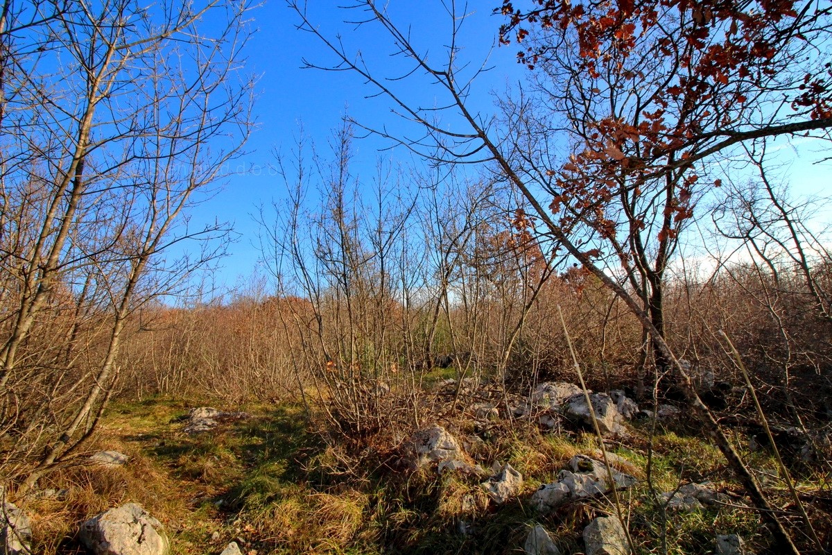 Terrain À vendre - PRIMORSKO-GORANSKA  KRK 