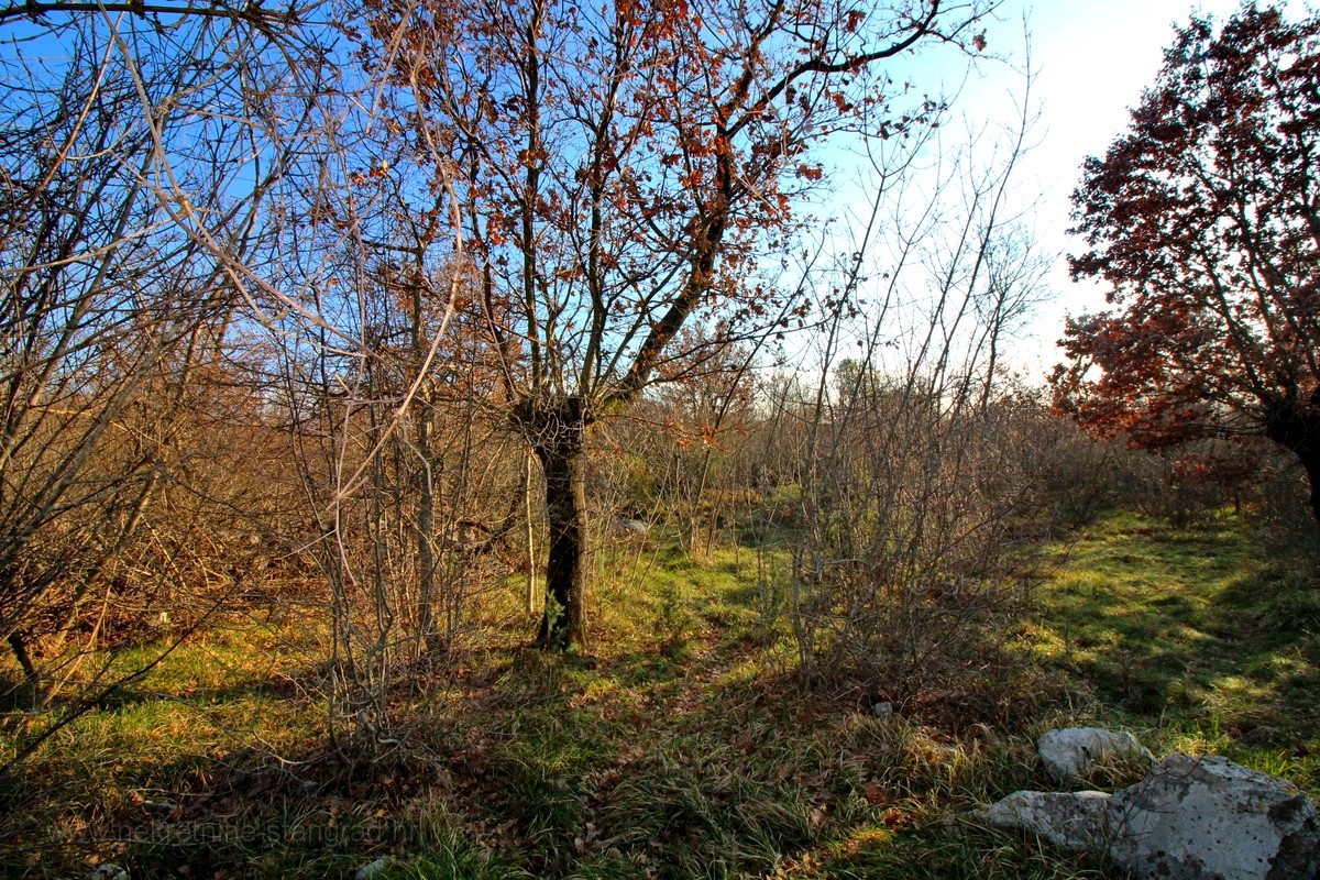 Terrain À vendre - PRIMORSKO-GORANSKA  KRK 