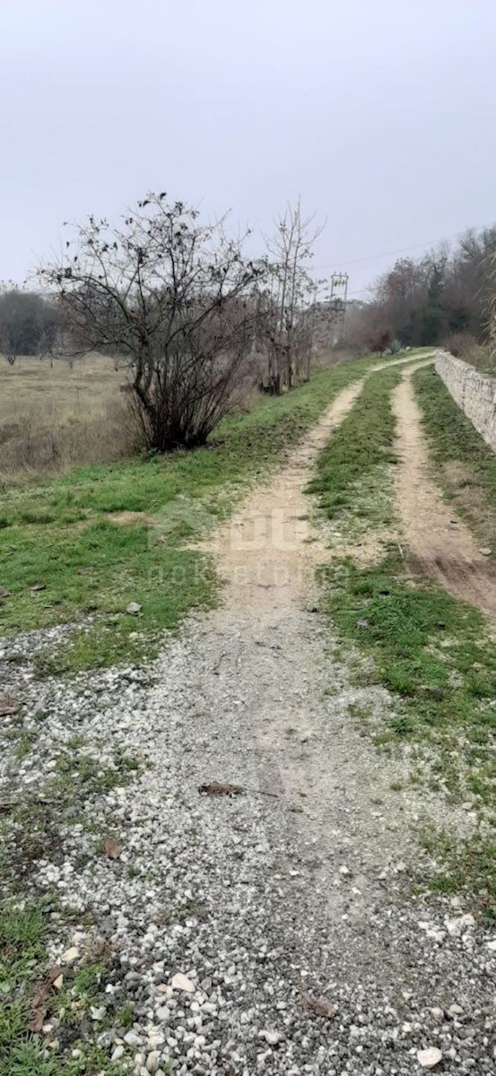 Zemljište Na prodaju - ISTARSKA  TINJAN 