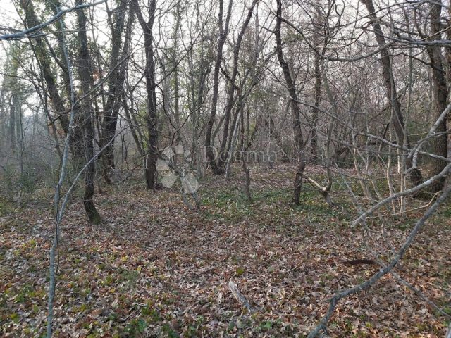 Parcela Naprodaj - Istarska Labin - foto 4/4