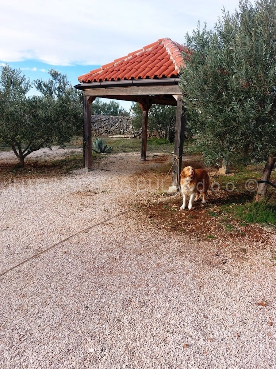 Dom Na predaj - ŠIBENSKO-KNINSKA  ŠIBENIK 