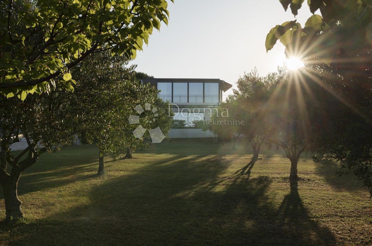 Haus Zu verkaufen - ZADARSKA  ZADAR 