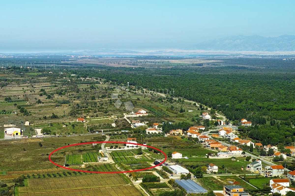 Haus Zu verkaufen - ZADARSKA  ZADAR 