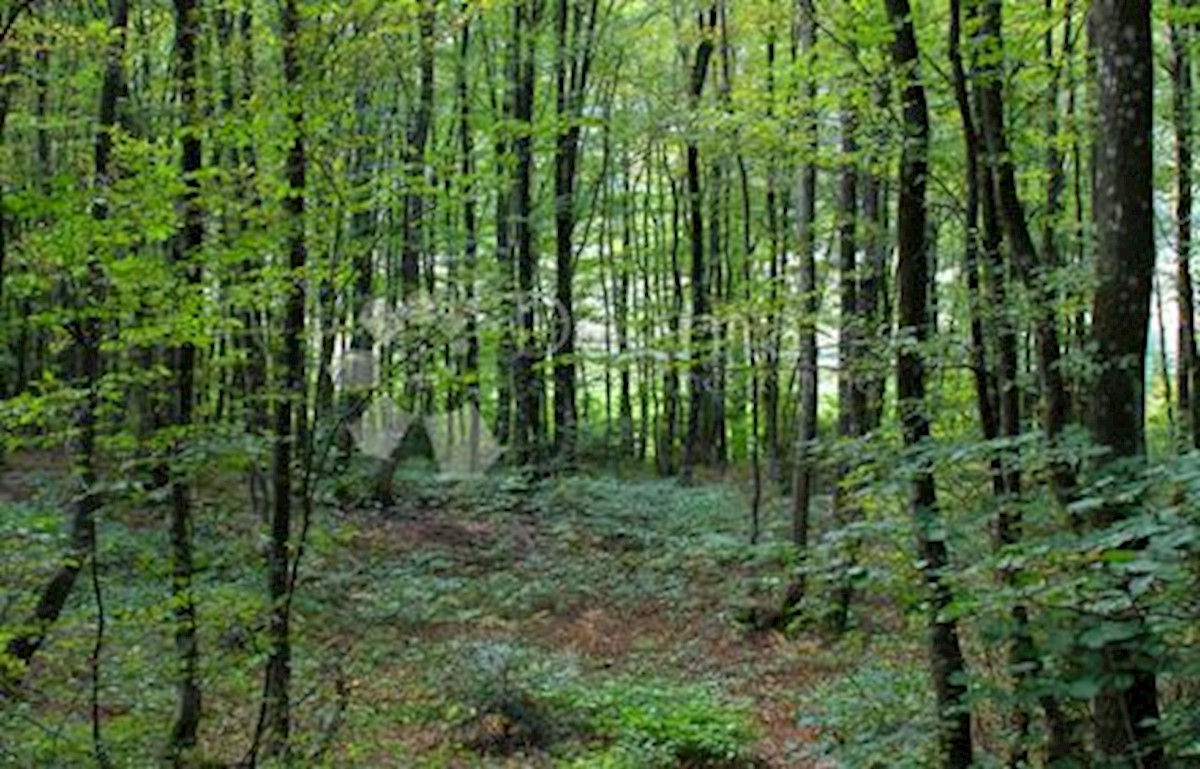 Land For sale ŽBANDAJ