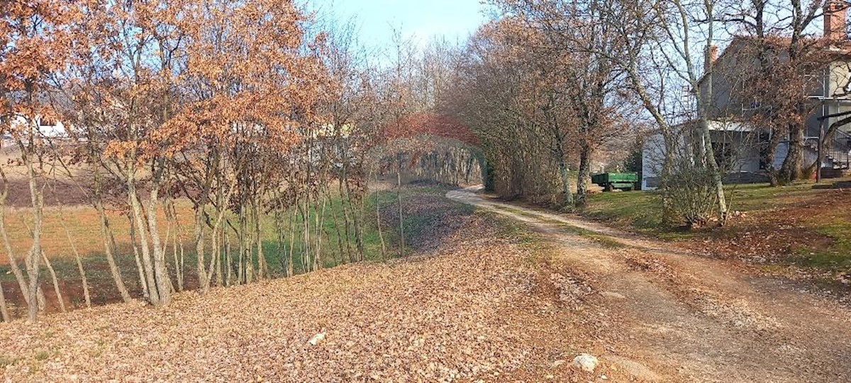 Terrain À vendre - ISTARSKA  PAZIN 