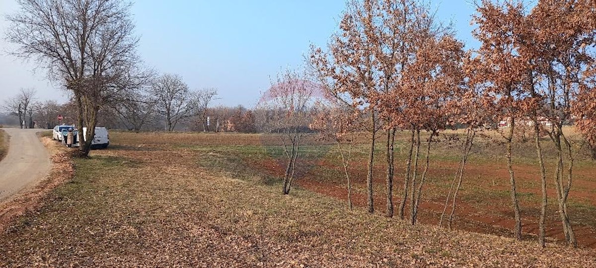 Terrain À vendre - ISTARSKA  PAZIN 