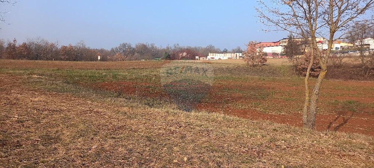 Terrain À vendre - ISTARSKA  PAZIN 