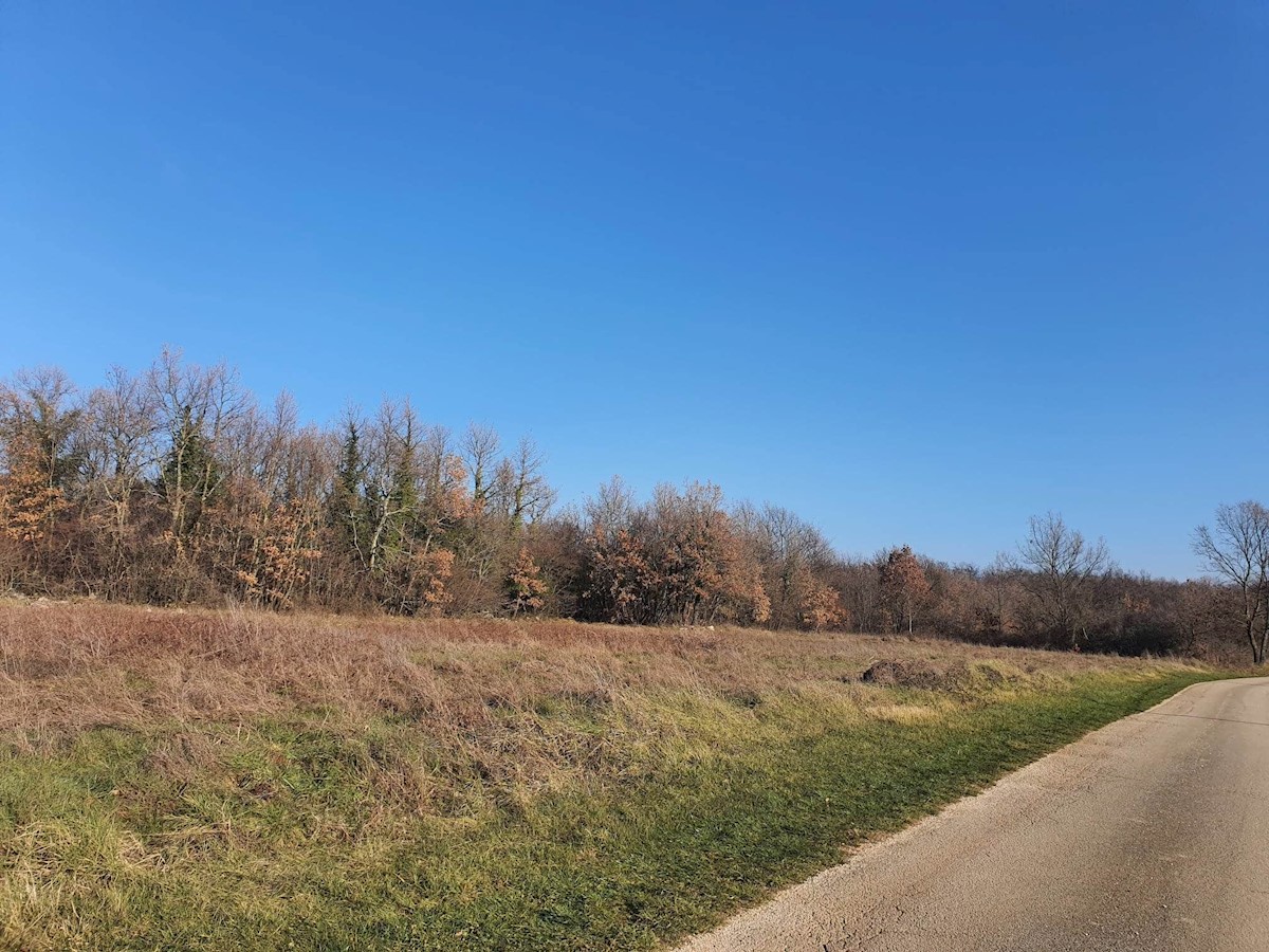 Terreno In vendita - ISTARSKA  POREČ 