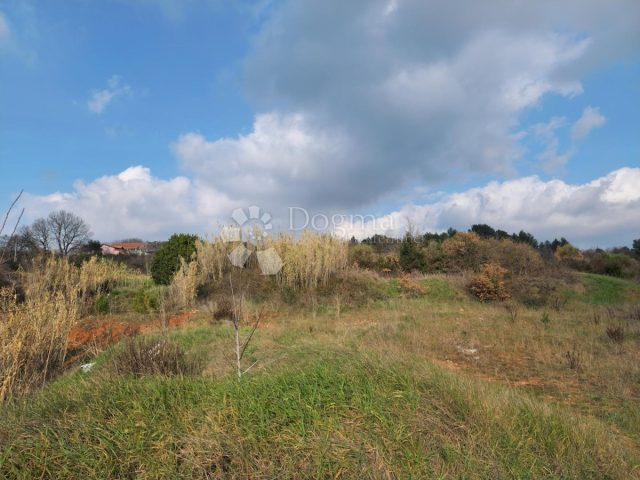 Pozemok na predaj 12175 m² – Pula