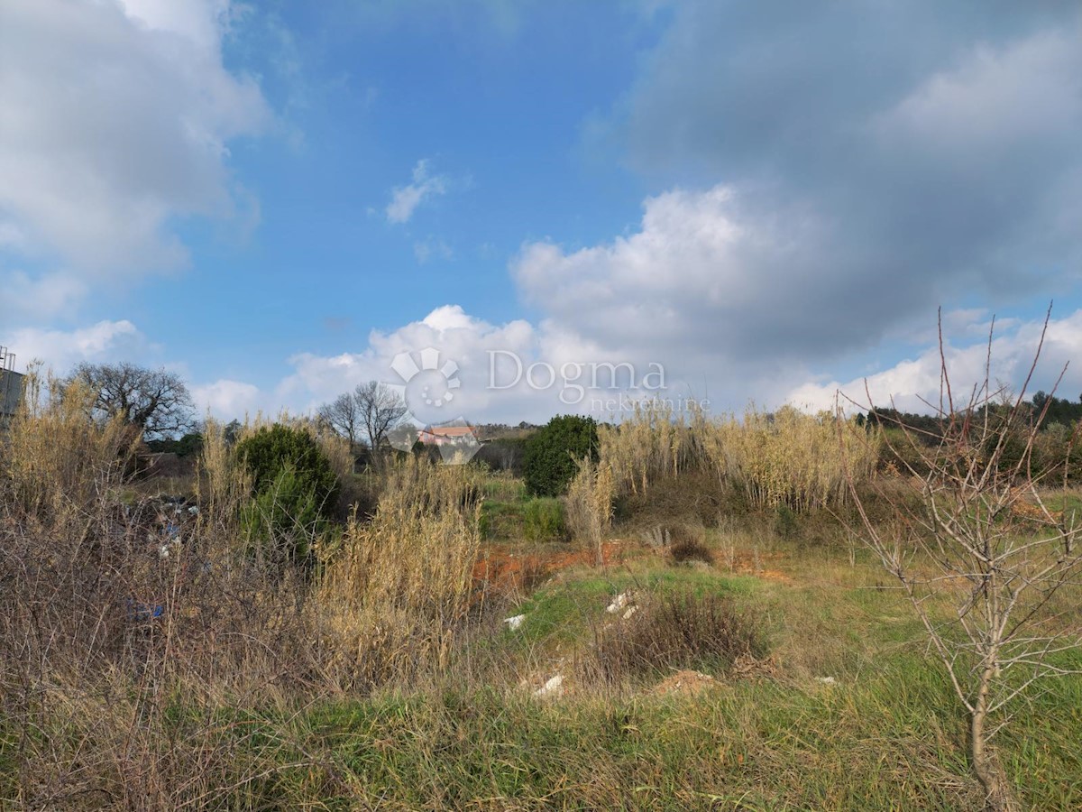 Land For sale - ISTARSKA  PULA 