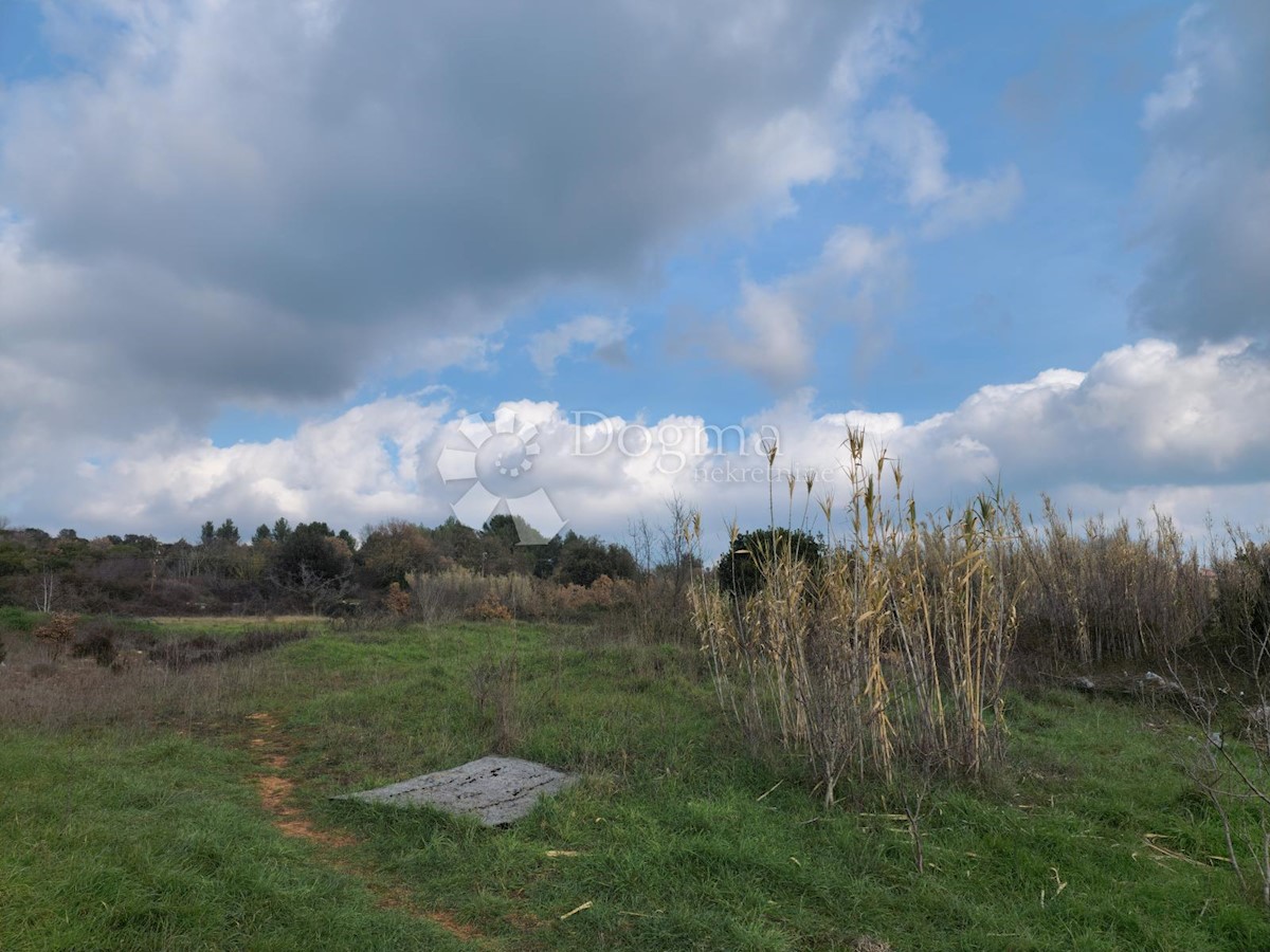 Land For sale - ISTARSKA  PULA 