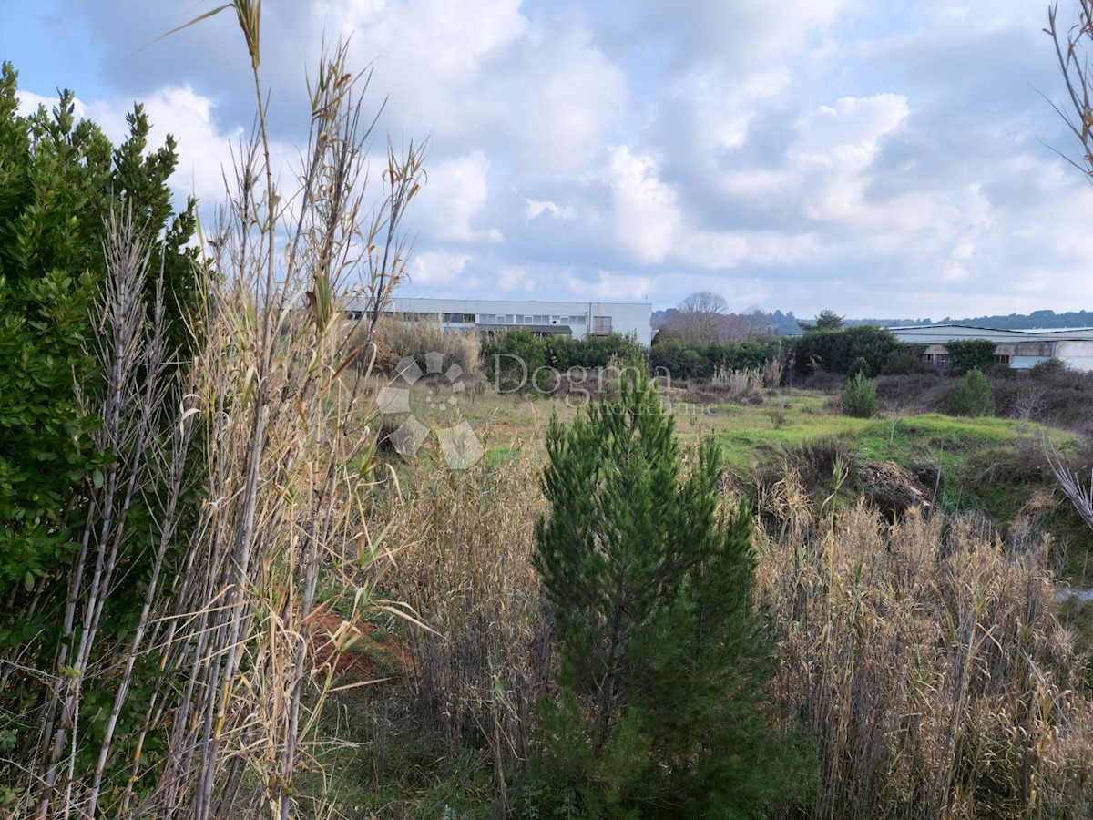 Terrain À vendre - ISTARSKA  PULA 