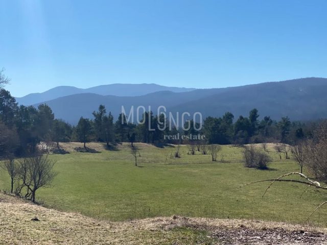 Terreno in vendita 25000 m² – Šapjane