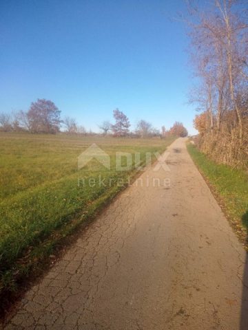 Parcela Naprodaj - Istarska Žminj - foto 3/4
