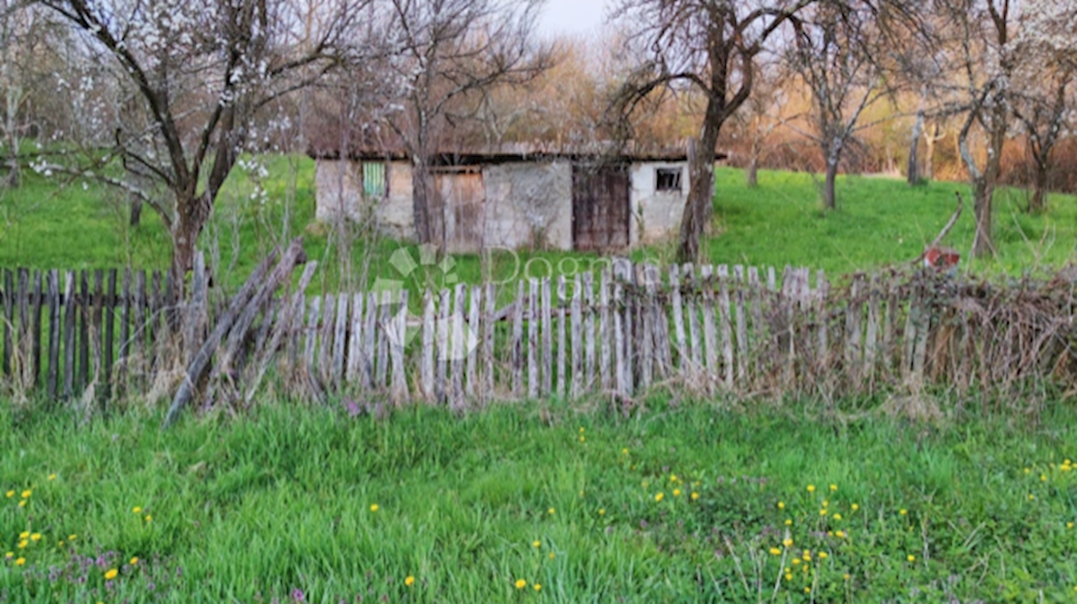 Maison À vendre - OSJEČKO-BARANJSKA FERIČANCI