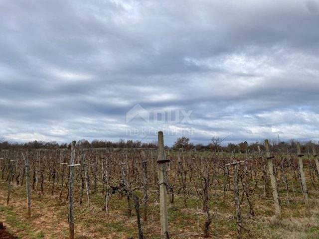 Land for sale 1912 m² – Umag