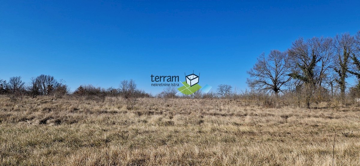 Land For sale - ISTARSKA ŽMINJ