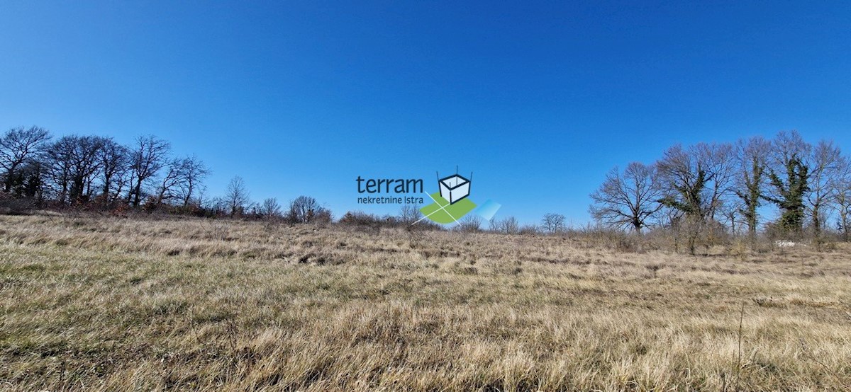 Land For sale - ISTARSKA ŽMINJ