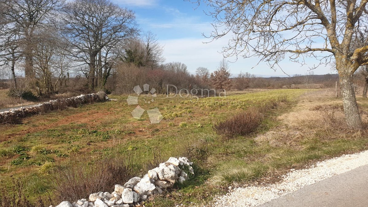 Terreno In vendita - ISTARSKA ŽMINJ