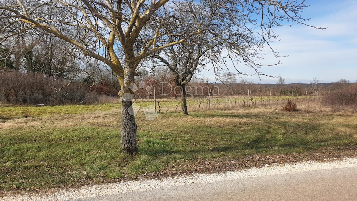 Pozemok Na predaj - ISTARSKA ŽMINJ