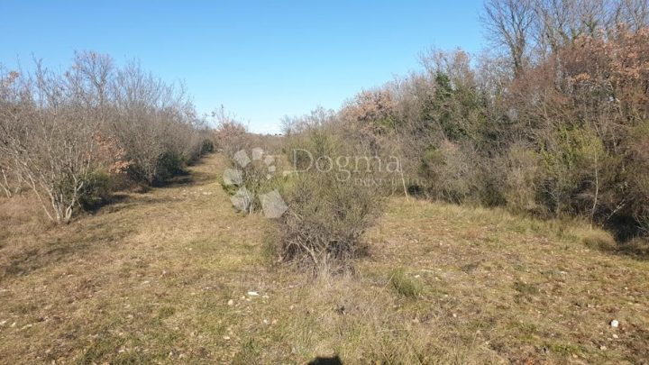 Terreno in vendita 1593 m² – Krnica