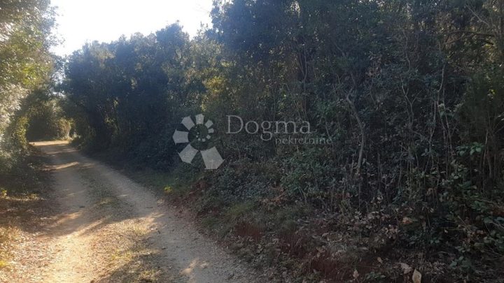 Parcela Naprodaj - Istarska Marčana - foto 4/4