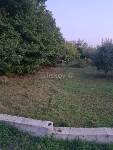Pozemek na prodej 1331 m² – Kožino
