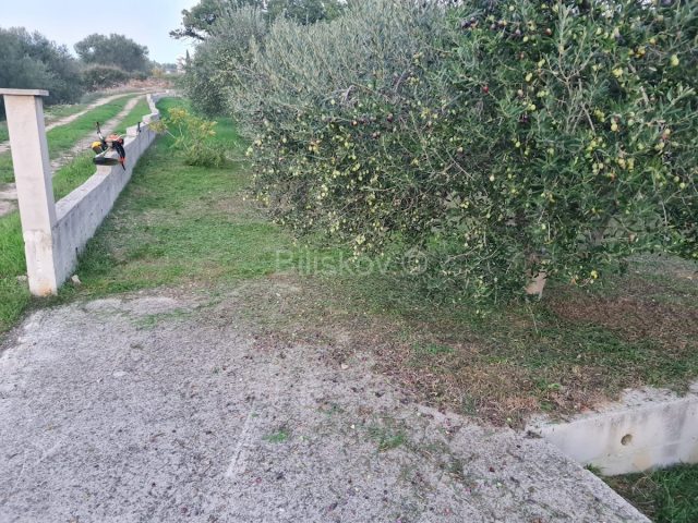 Pozemek Na prodej - Zadarska Zadar - foto 2/4